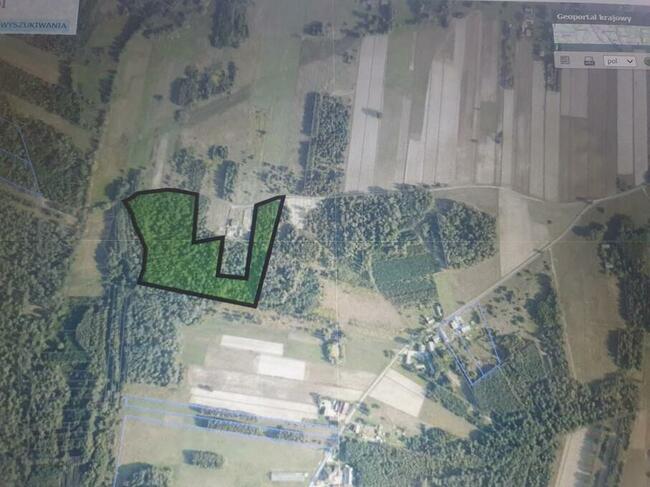 Sprzedam działkę rolną w Budach 2,91 ha gm. Bogoria