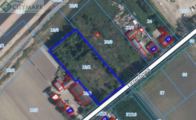 Działka Robercin gm. Piaseczno