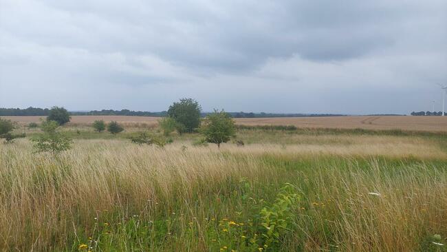 DUŻA DZIAŁKA BUDOWLANA - 9 KM OD SŁUPSKA