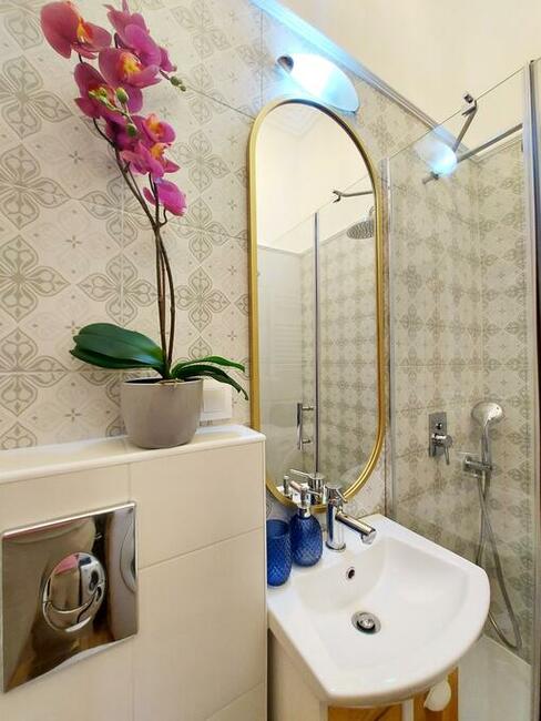 Kamienica Ząbkowska 37 - Koneser studio z antresolą w pełni