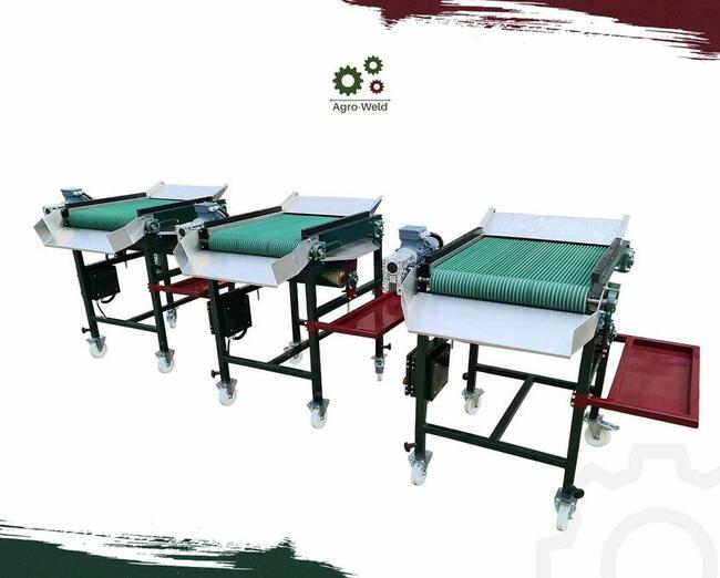 Agro-Weld Sortownik do owoców