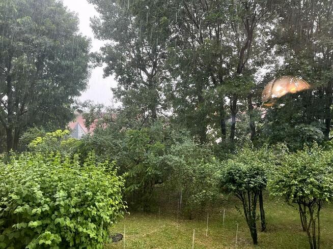 sprzedam mieszkanie