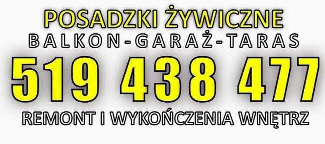 Malarz - Żywica epoksydowa
