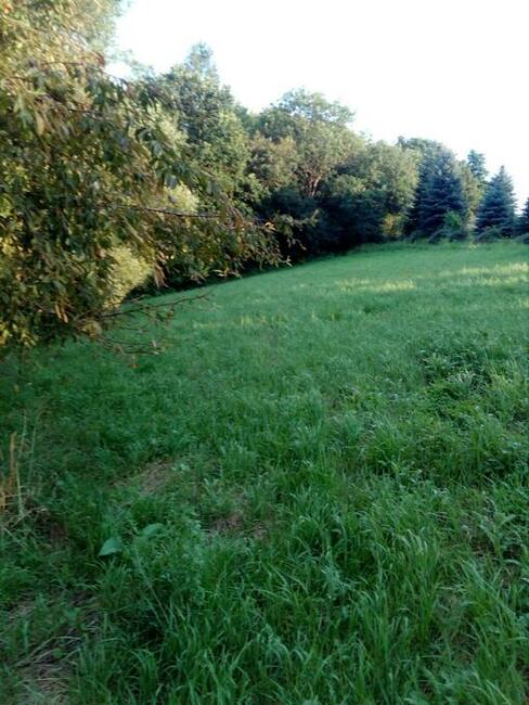 Działka rekreacyjna 17ar-Tęgoborze-3km od Jeziora Rożnowskie