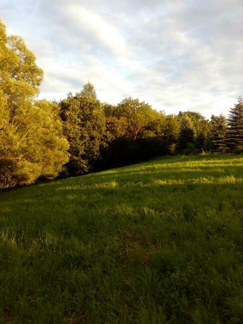 Działka rekreacyjna 17ar-Tęgoborze-3km od Jeziora Rożnowskie