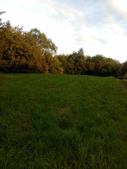 Działka rekreacyjna 17ar-Tęgoborze-3km od Jeziora Rożnowskie