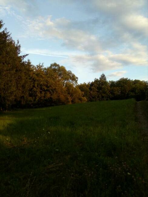 Działka rekreacyjna 17ar-Tęgoborze-3km od Jeziora Rożnowskie