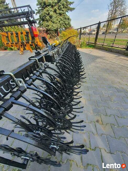 Brona gwiazdowa / chwastownik DEMUS