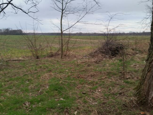 Działka usługowa Mirków gm. Długołęka