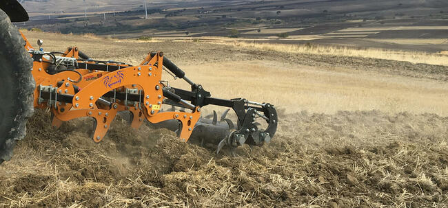 Pług dłutowy Moro Aratri SPIDER 5S250