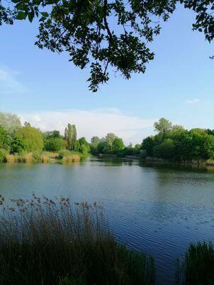 41m 2 pokojowe ul Włodarzewska przy Parku Szcześliwickim