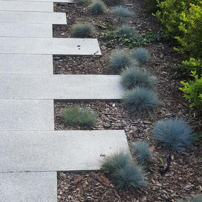 Płytka granitowa szara płomień G602 60x40x2 Taras/Schody