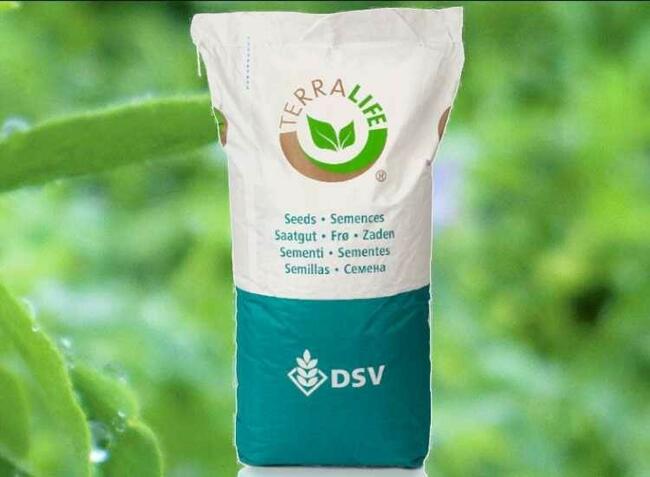 DSV Terralife Mieszanka Gorzowska poplonowa ozima worek 25kg
