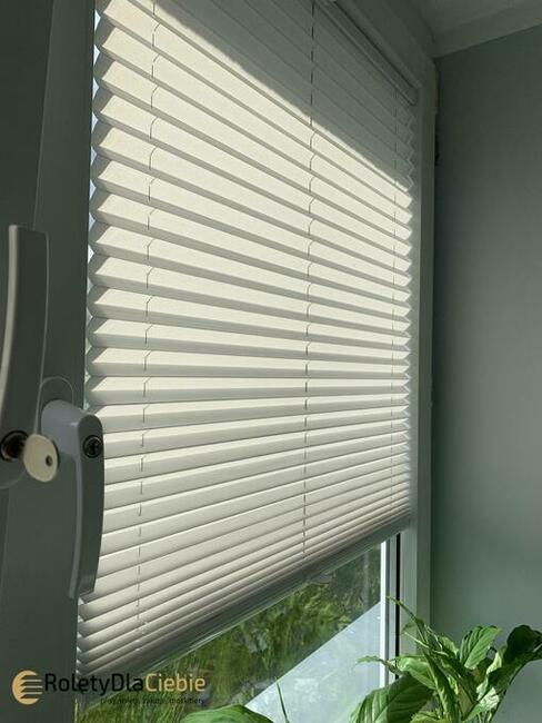 Rolety, żaluzje, plisy, markizy, moskitiery