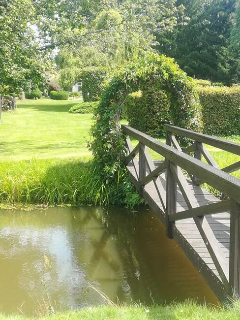 Gospodarstwo Agroturystyczne Andy z Potencjałem Rozwoju na