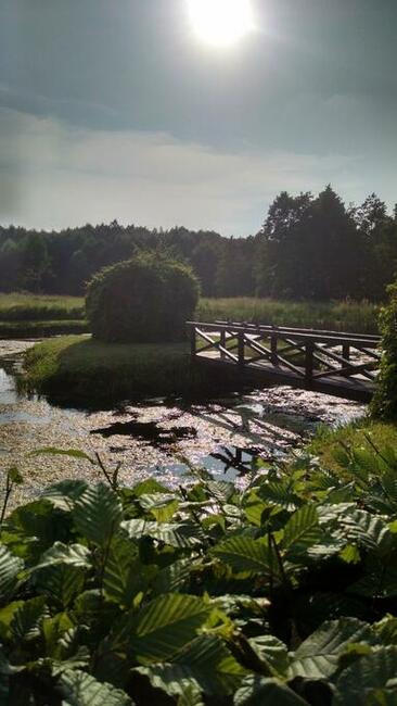 Gospodarstwo Agroturystyczne Andy z Potencjałem Rozwoju na