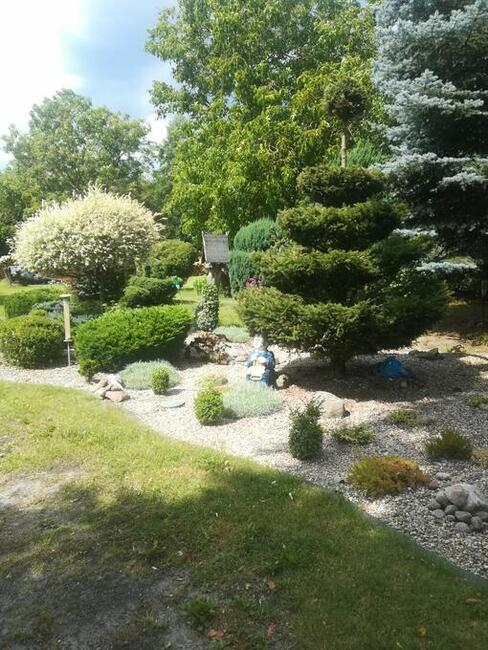 Gospodarstwo Agroturystyczne Andy z Potencjałem Rozwoju na