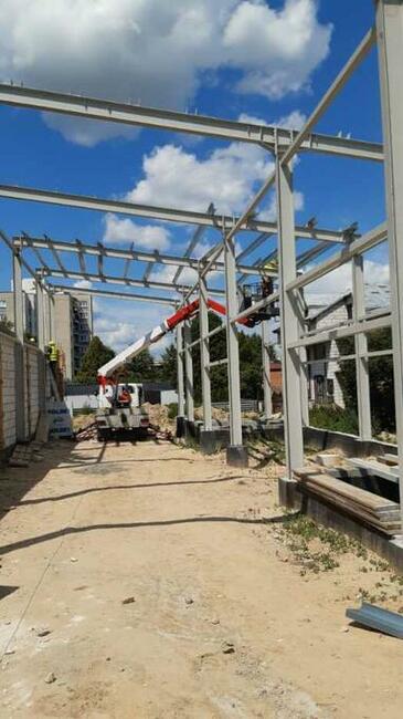 Wycinka, pielęgnacja drzew, zwyżka - podnośnik