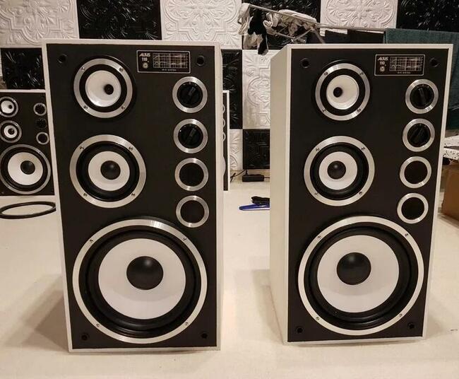 Kolumny Altus Tonsil 110 (Wersja Czarno-Biała) Unikalny D