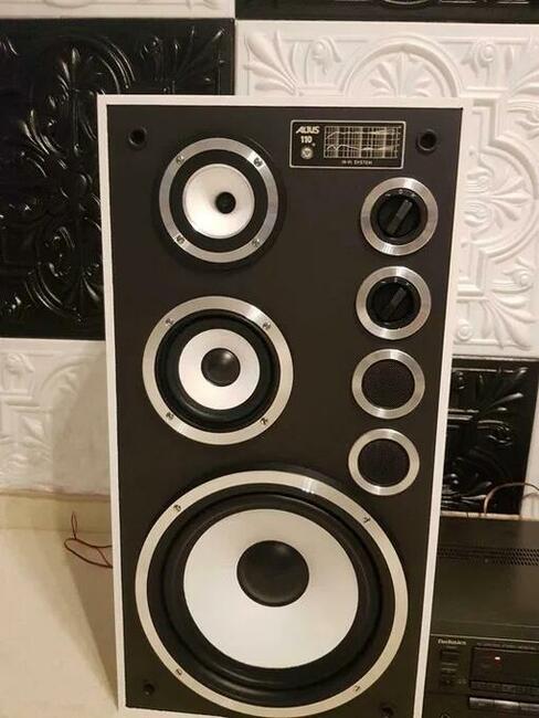 Kolumny Altus Tonsil 110 (Wersja Czarno-Biała) Unikalny D