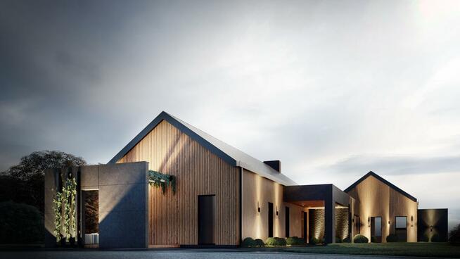 Wizualizacje 3d oraz projekty produktów, architektury, rysu