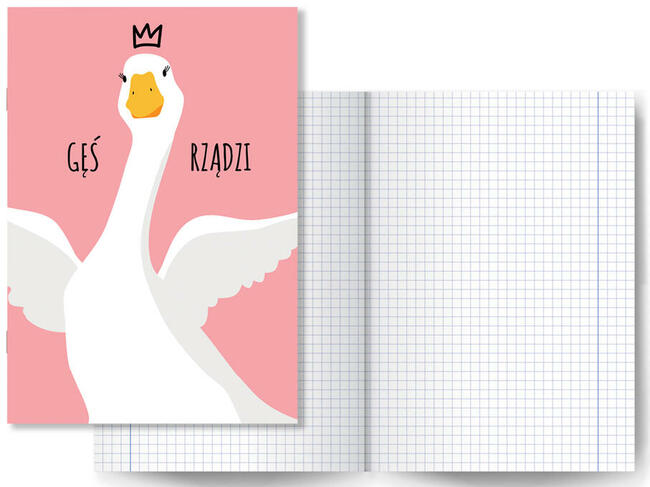 Zeszyt wyprawka szkolna zestaw 5 szt 60 kartek pipa maskotka