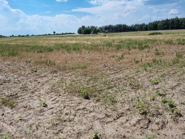 Sprzedam działkę budowlaną