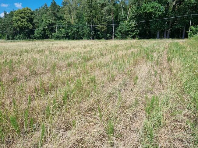 Sprzedam działkę budowlaną