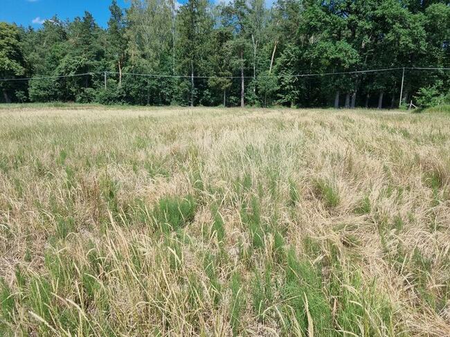 Sprzedam działkę budowlaną