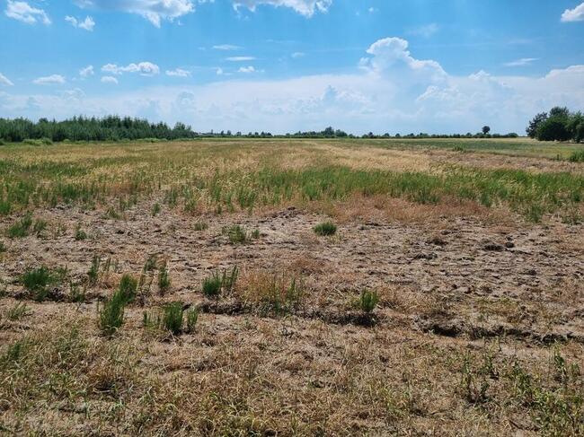 Sprzedam działkę budowlaną