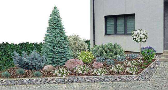 Projekt ogrodu rabaty tarasu oczka wodnego