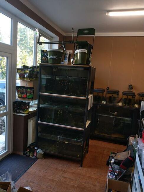 Wolnostojący dom pod Warszawą z lokalem usługowym