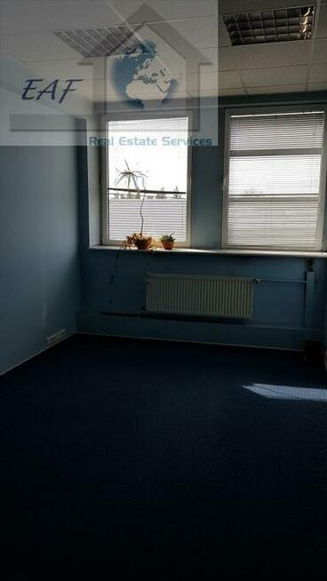 Lokal użytkowy Warszawa Praga-Północ, Pelcowizna