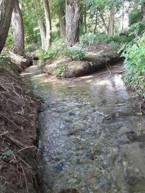 Wirtualna znajomość PRZYIACIELE