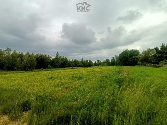 Działka rolno-budowlana Łucka-Kolonia gm. Lubartów