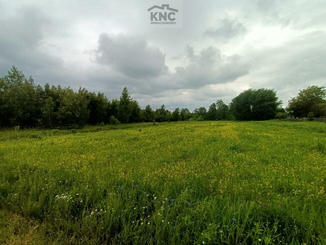 Działka rolno-budowlana Łucka-Kolonia gm. Lubartów