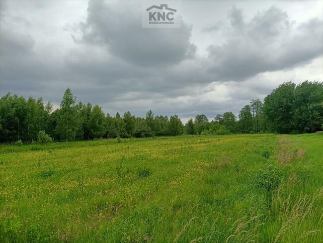 Działka rolno-budowlana Łucka-Kolonia gm. Lubartów