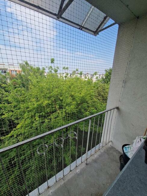 Montaz siatki na Ptaki i Koty na Rzeszów Tarnobrzeg Mielec