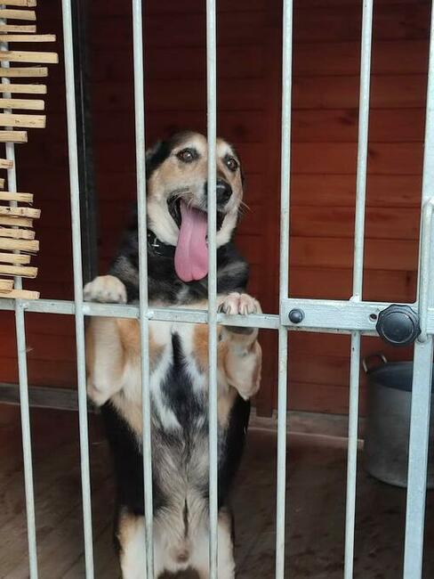 Kochany proludzki staruszek BŁAGA o wspaniały domek