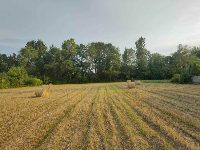 Działka 50a - Budziejowice ( pow. Proszowice )