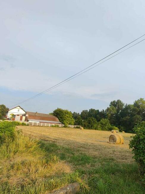 Działka 50a - Budziejowice ( pow. Proszowice )