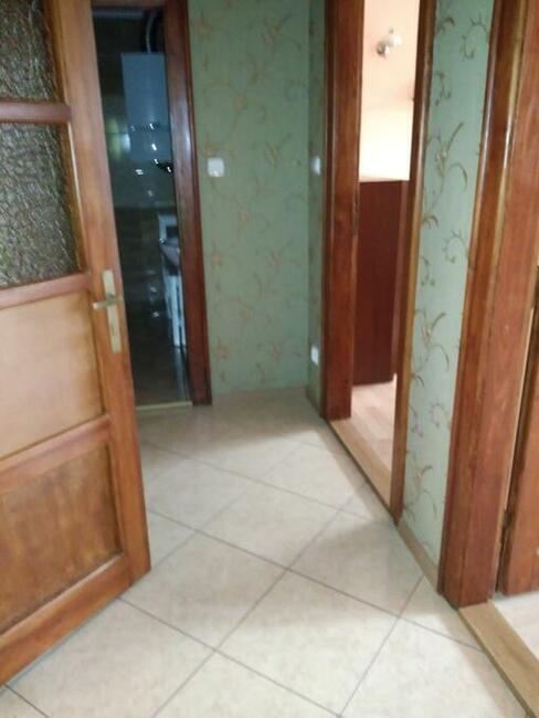 mieszkanie dla 2 studentek w Środmieściu