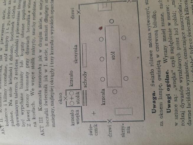 Bolszewik w spodnicy 1928 r i inne scenariusze