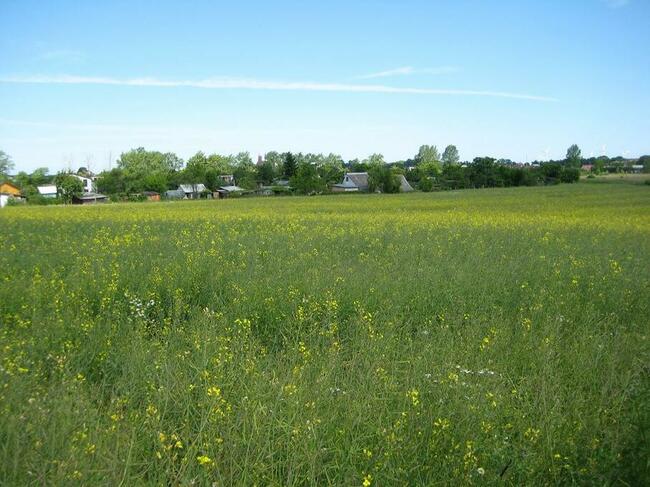 DARŁOWO , działka rolna o pow 3 046 m2 , 3,5 km od morza