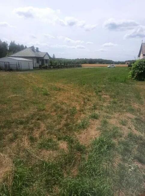 Zaręby działka rolna