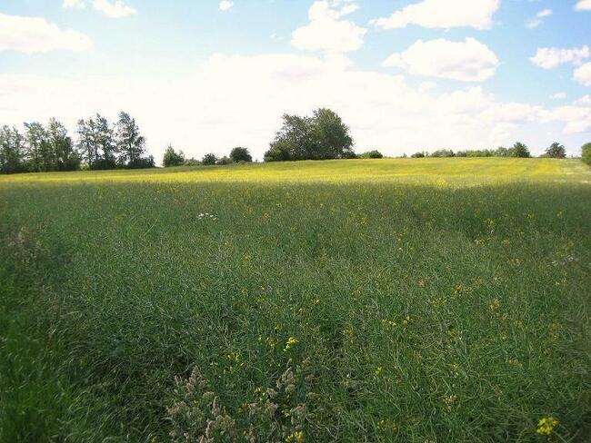DARŁOWO , działka rolna o pow 3 046 m2 , 3,5 km od morza