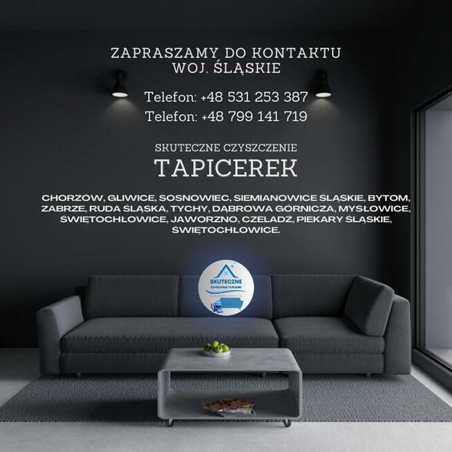Skuteczne Czyszczenie Tapicerek