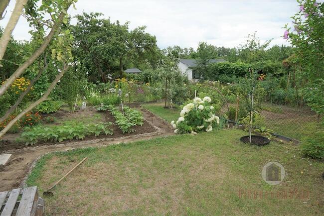 Zagospodarowana działka rekreacyjna - ROD "Stilon"