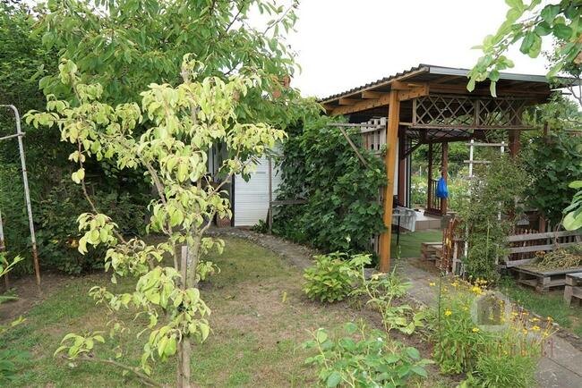 Zagospodarowana działka rekreacyjna - ROD "Stilon"