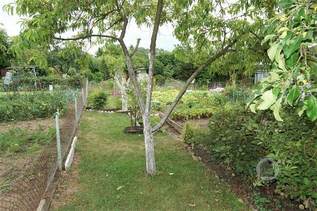 Zagospodarowana działka rekreacyjna - ROD "Stilon"